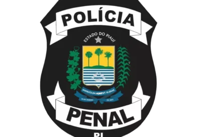 PRÉ-PPPI (Polícia Penal do Piauí)